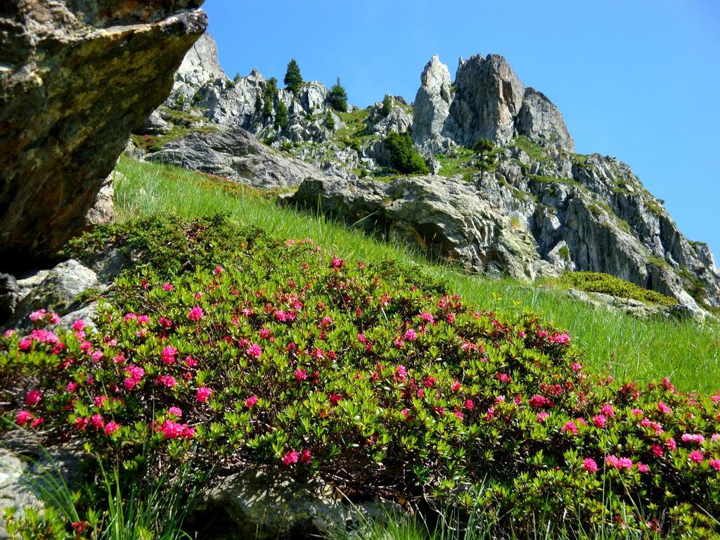Auberge La Douce Montagne Allemont Esterno foto