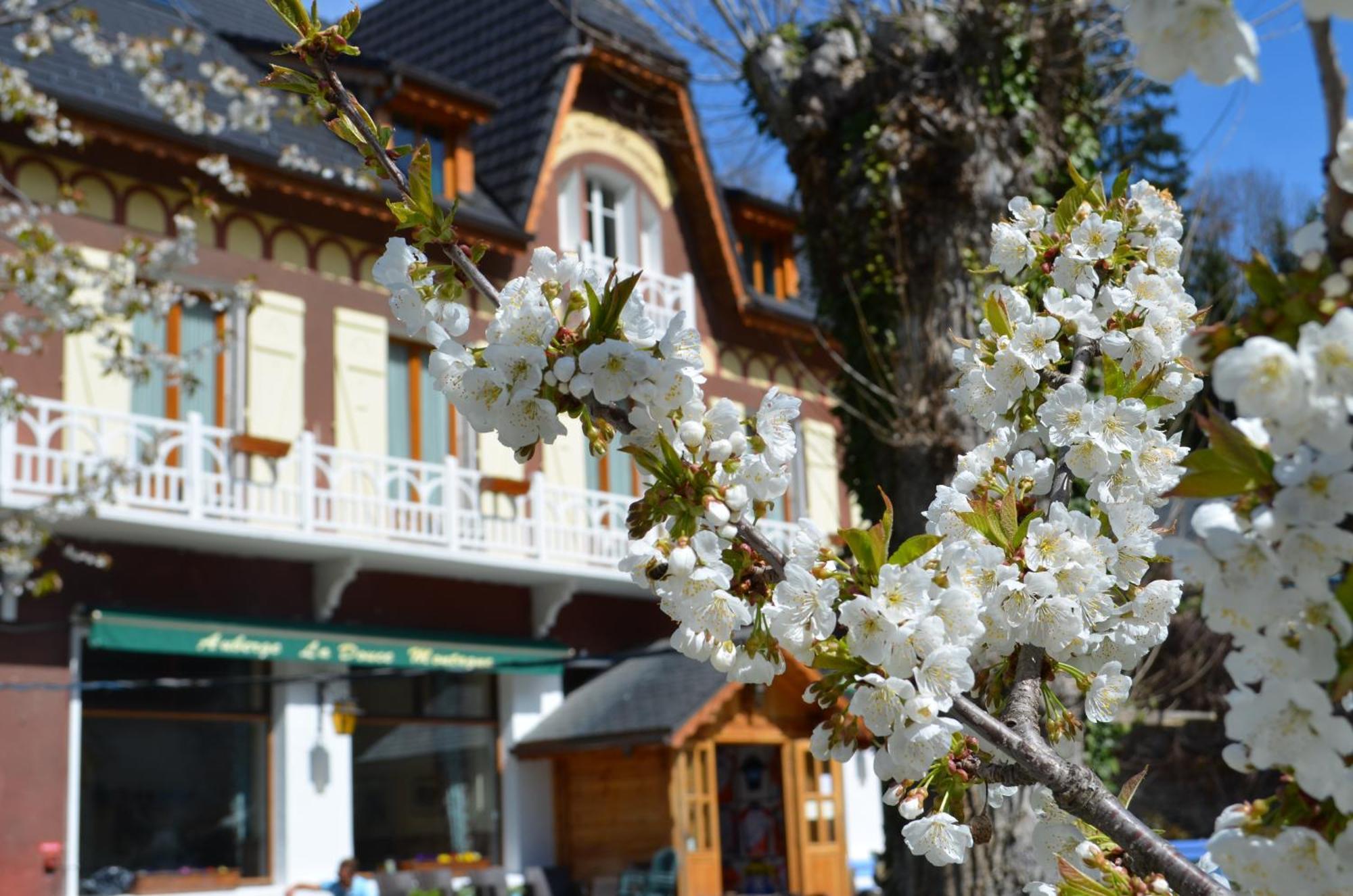 Auberge La Douce Montagne Allemont Esterno foto